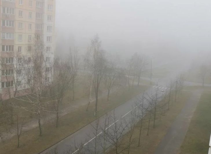 Названы дни недели с самым чистым воздухом в городах Беларуси туман
