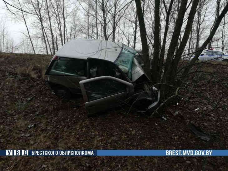 В Кобрине водитель Fiat Punto съехала в кювет и чудом осталась жива авария