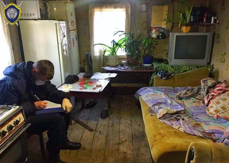 В Калинковичском районе 27-летняя девушка зарезала сожителя матери убийство