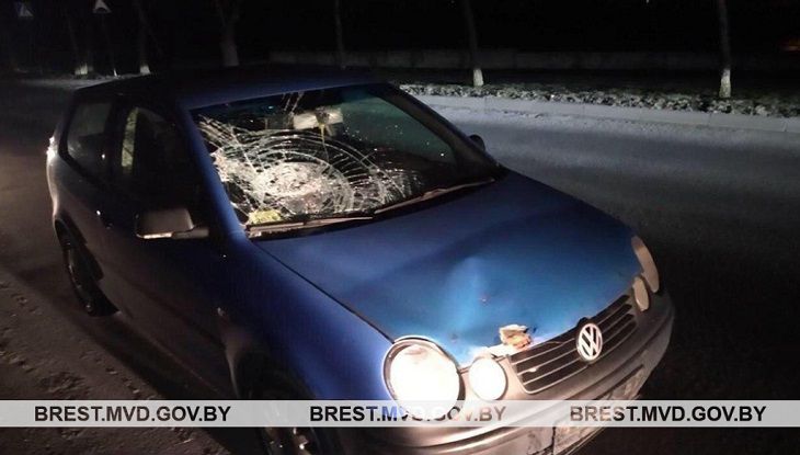Дюжина ДТП в Брестской области: пострадали люди дтп