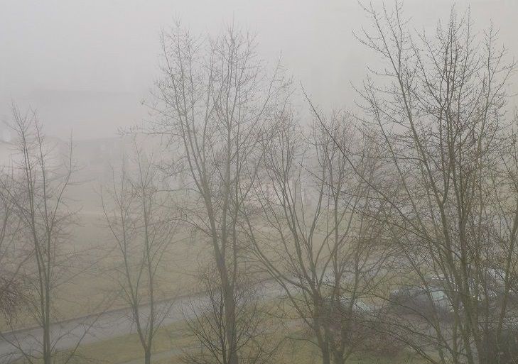 Опасная весна. Погода в Беларуси на 16 февраля 2020 года погода