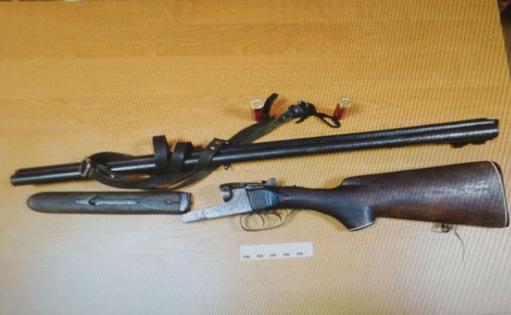 Давид-Городка