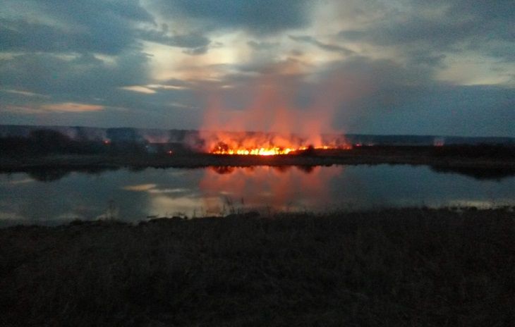 Пять дачных домов сгорели под Мозырем из-за палов травы пожар