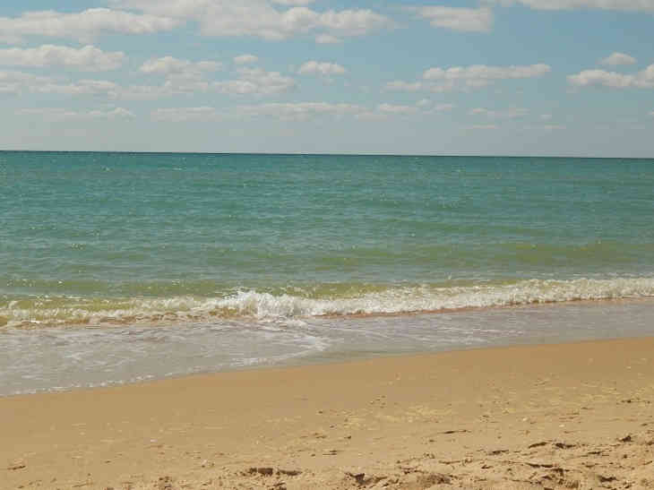 Белорусские школьники вернулись из Италии: сейчас их обследуют специалисты коронавирус