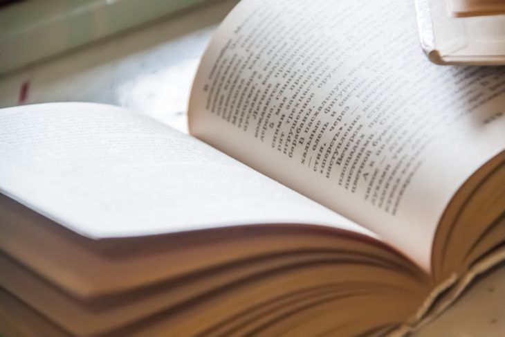 Теперь он звезда. Мальчика оскорбляли за отзывы на книги, но теперь ему завидуют книга