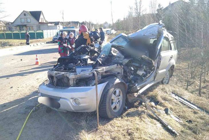 В Толочинском районе столкнулись лесовоз и Kia: водитель легковушки погиб дтп
