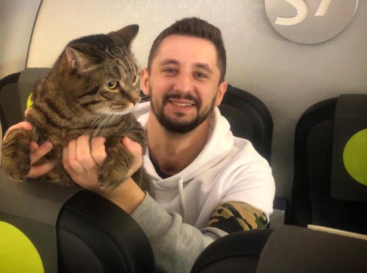 Маленький кот меняет правила больших людей. Авиакомпания впервые разрешила лететь в салоне коту Виктору кот