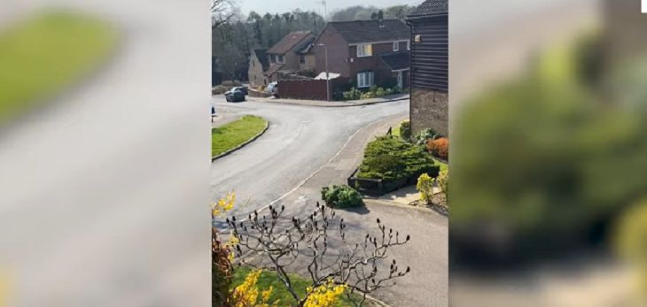 Мужчина прикинулся кустом, чтобы побывать на улице во время карантина. Посмотрите, как это было куст