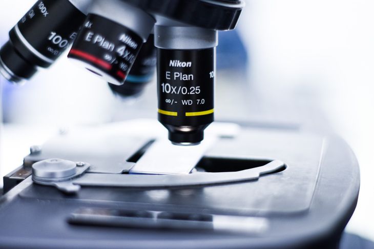 Ученые выяснили, что герпес приводит к разрушению нейронов Герпес