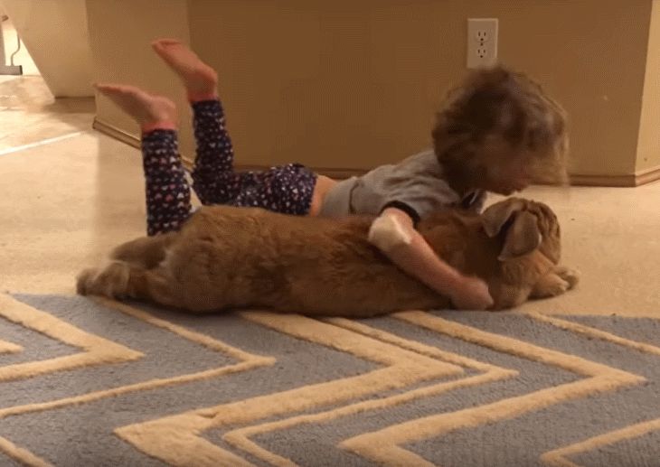 Мама подарила ребенку кролика, а он вырос до огромных размеров кролик