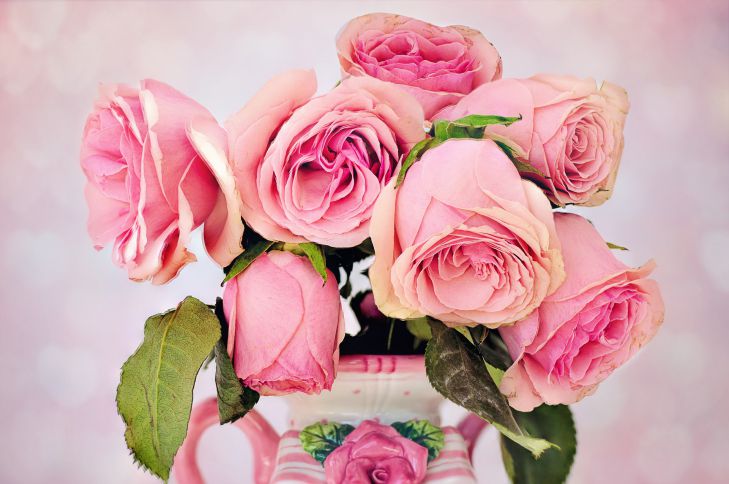 Плетистые розы как украшение сада: особенности выращивания: новости, розы,цветы, сад, сад и огород