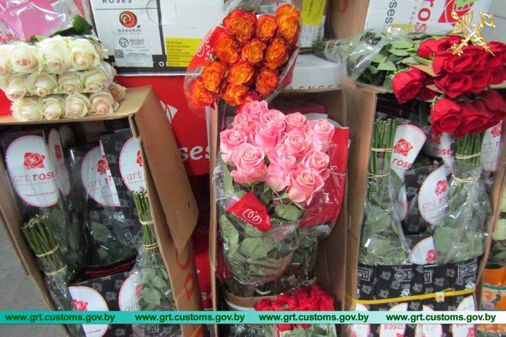 В Беларусь не пропустили 100 000 роз. Причина вас удивит розы