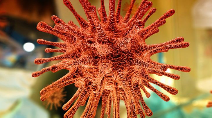 Вирусолог рассказал, как долго продлится эпидемия COVID-19 вирус