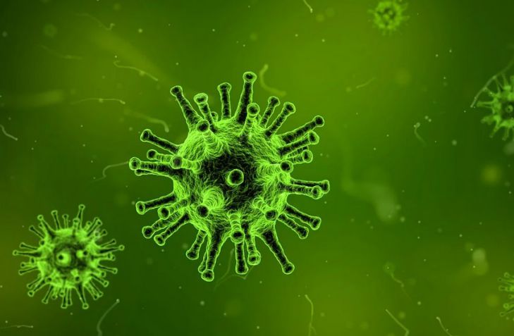 Американские ученые обнаружили слабое место коронавируса вирус