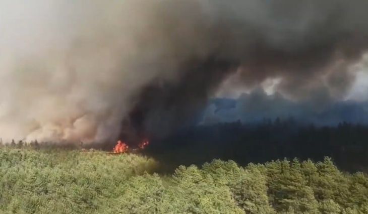 Брестская область в огне. В Беларуси за сутки сгорело 450 га леса огонь