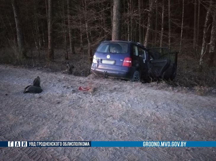 На Гродненщине Volkswagen с компанией молодежи влетел в дерево: погибли два человека авария