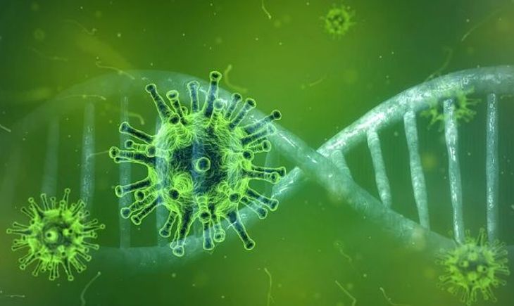 коронавирус