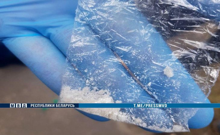 МВД показало кадры из Гомеля: задерживали девушку с партией наркотиков МВД