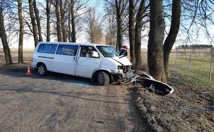 Под Витебском