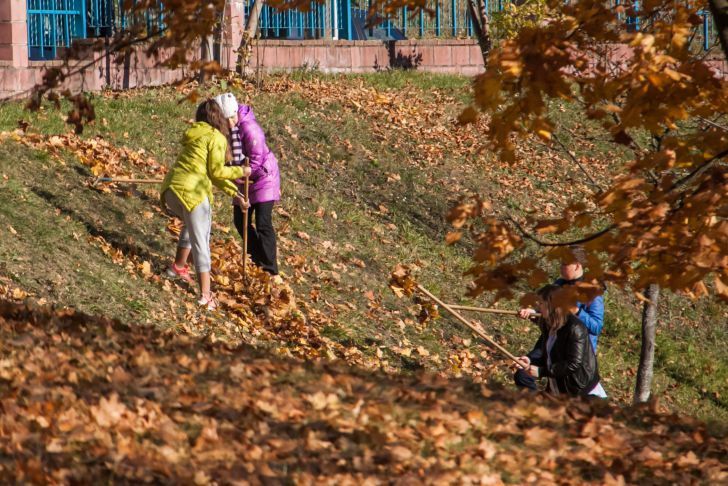 Цифра дня. Вот сколько денег было заработано в Беларуси на субботнике люди