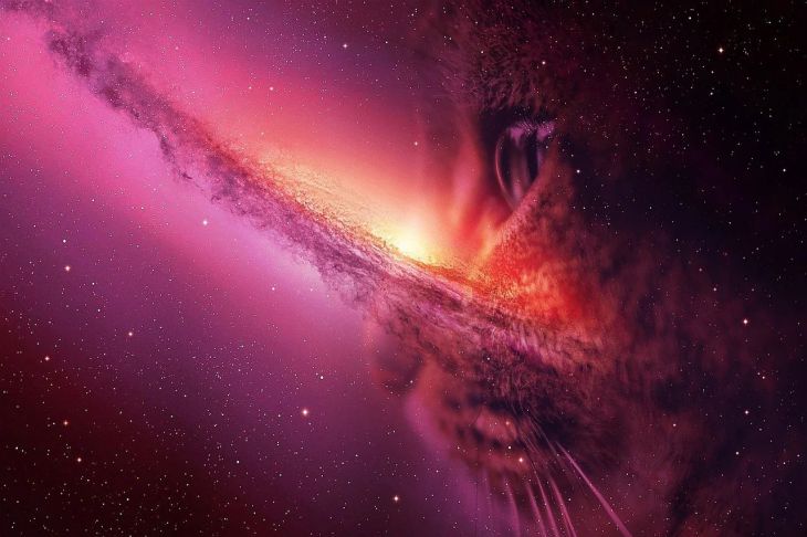 Знаки зодиака, которые в мае могут столкнуться с предательством гороскоп