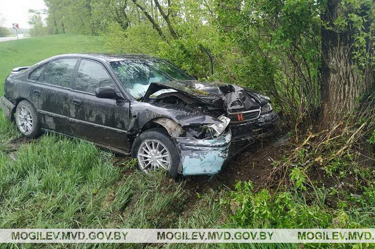 Под Бобруйском водитель с месячным стажем врезался в дерево: пострадали двое детей и женщина дтп