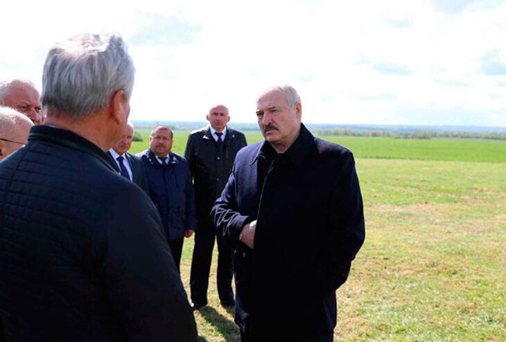 коронавирус