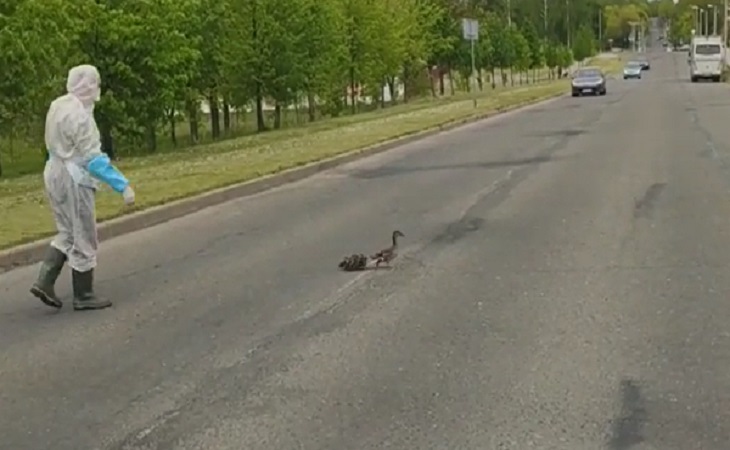 В Молодечно