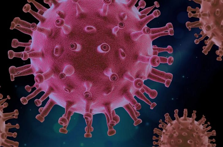 Создан природой или появился в лаборатории? Ученые раскрыли истинное происхождение коронавируса вирус