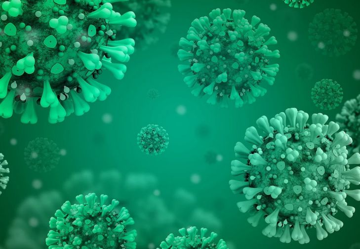 Ученые из Ирландии назвали эффективный способ поддержать иммунитет в период пандемии COVID-19 вирус