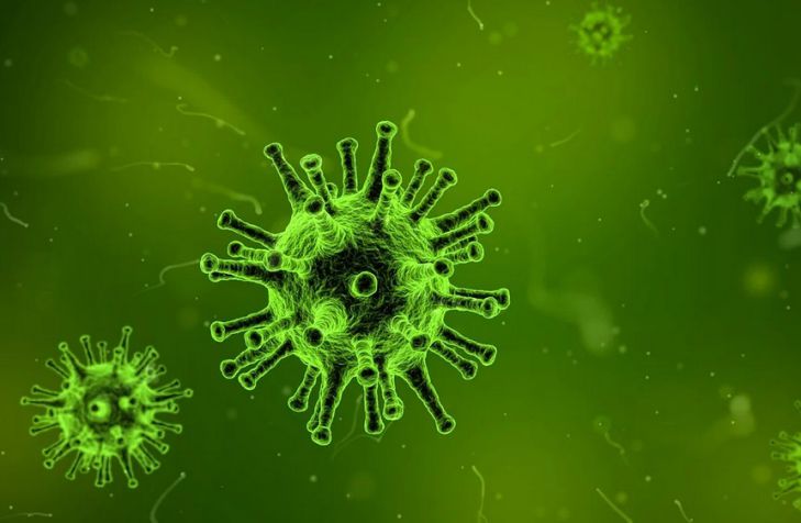 Ученые заявили о появлении нового «апокалиптического» вируса