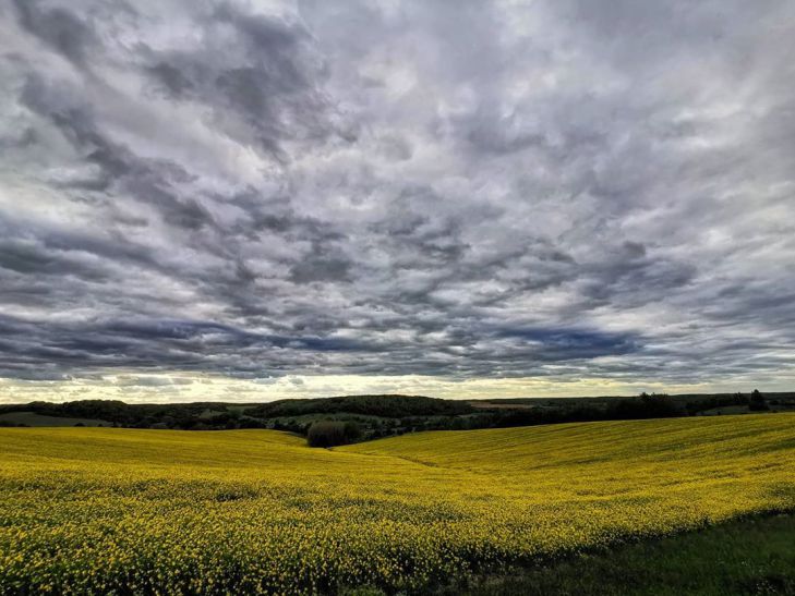 ТОП-7 фото Беларуси в Instagram на 11 июня 2020 года