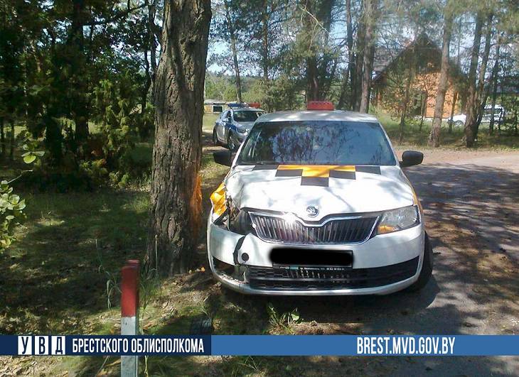 Под Брестом 18-летний водитель врезался в дерево на следующий день после получения прав Под Брестом 18-летний водитель врезался в дерево на следующий день после получения прав