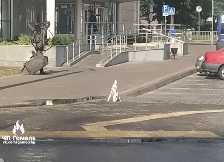 В Гомеле девушка провалилась в люк, но медики отказались приехать для оказания помощи 