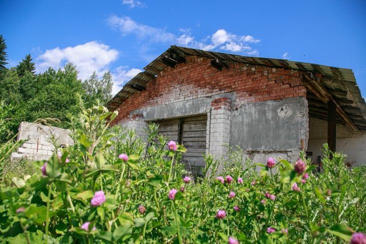 Подростки прибрались в сарае дедушки и наткнулись на неожиданную находку