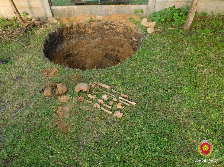 В Пружанском районе мужчина на своем участке нашел костные останки