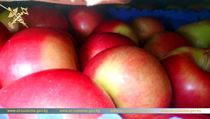 Белорусские таможенники пресекли незаконный ввоз в Россию 20 тонн польских яблок