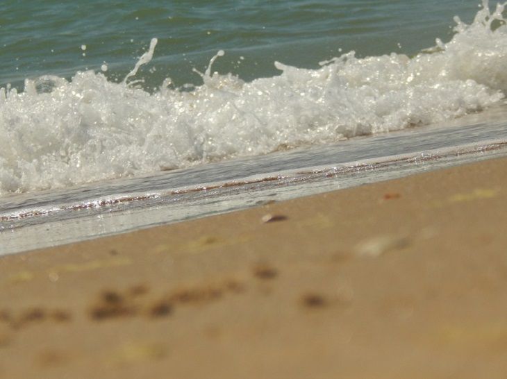 На пляжах Витебской области выявлены многочисленные нарушения