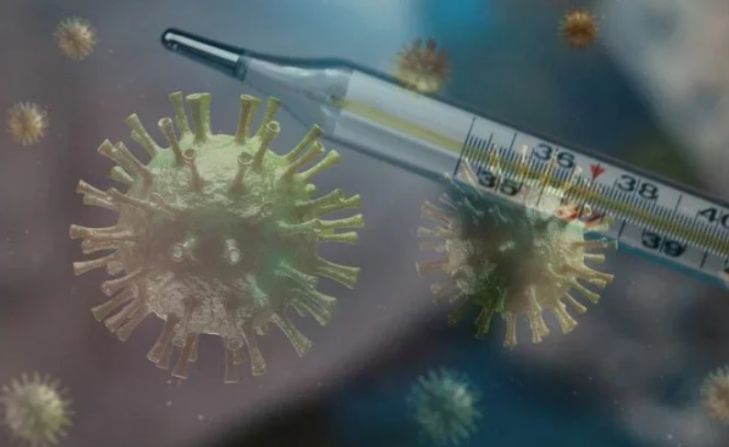 ВОЗ направит экспертов в Китай для расследования причин пандемии COVID-19 ВОЗ направит экспертов в Китай для расследования причин пандемии COVID-19