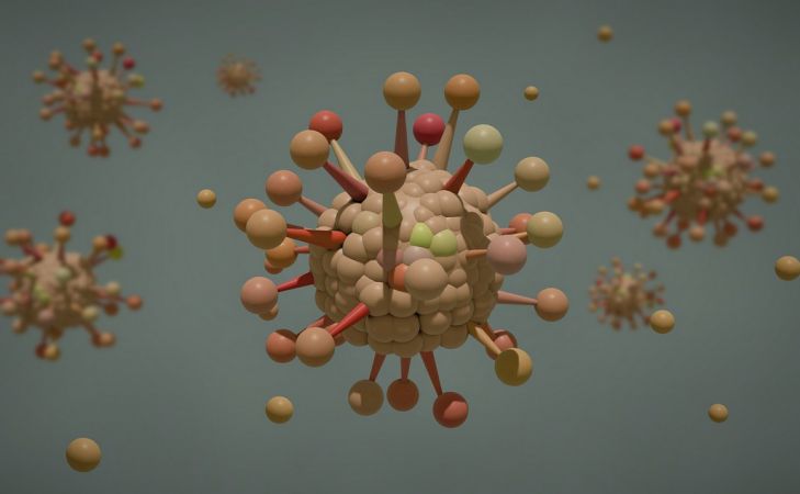 В геноме SARS-CoV-2 обнаружили часть человеческого белка. Его нет ни в одном из коронавирусов В геноме SARS-CoV-2 обнаружили часть человеческого белка. Его нет ни в одном из коронавирусов