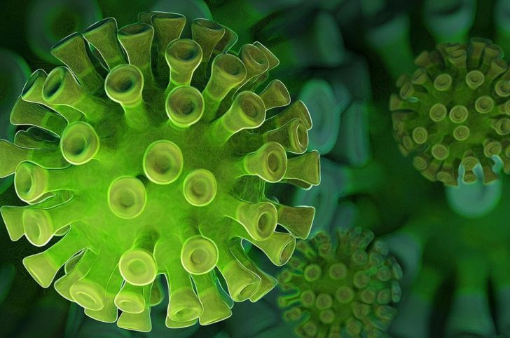 Найден «пособник» коронавируса, который помогает патогену проникать в мозг