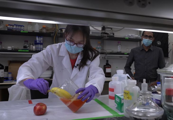 Ученые: недорогое яичное покрытие увеличит срок хранения свежих фруктов и овощей