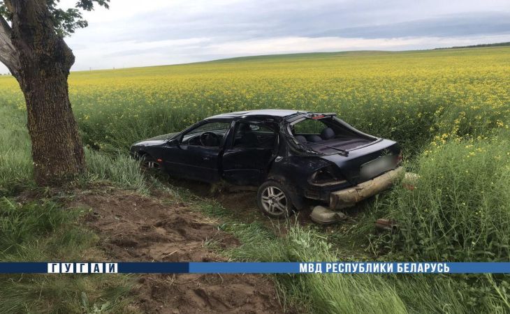 Под Гродно пьяный бесправник на «Форде» влетел в дерево: погиб 17-летний пассажир