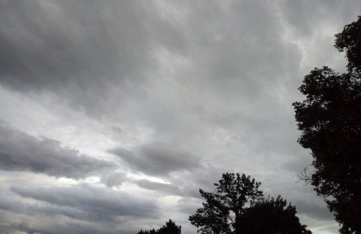 До 20 м/с: во второй половине дня объявлен оранжевый уровень опасности из-за сильного ветра