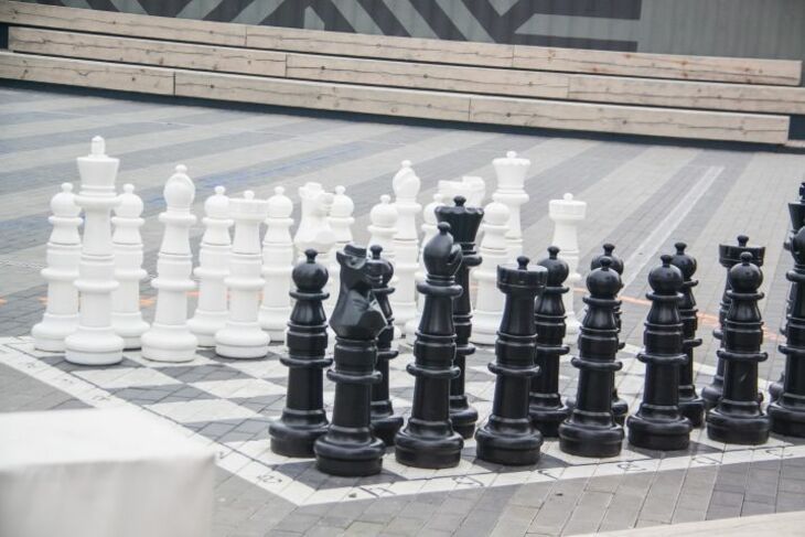 Теперь и шахматы назвали расистским видом спорта