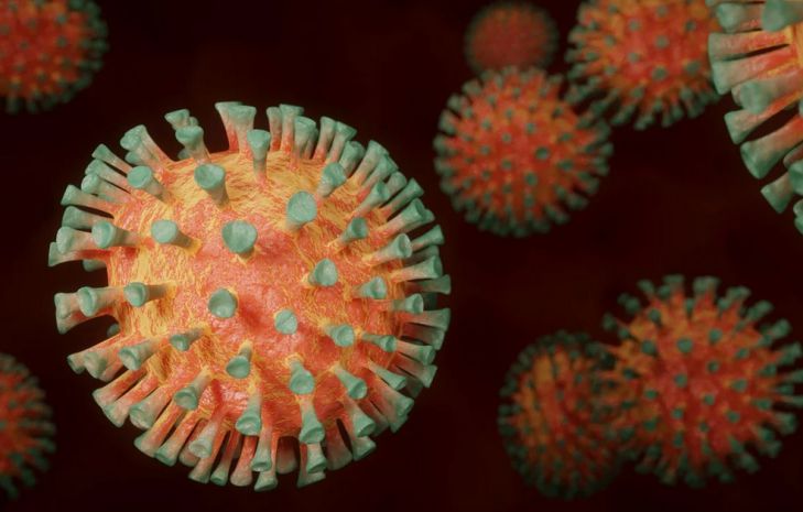 Человечество атаковали сразу 6 видов коронавируса. Почему это хорошая новость