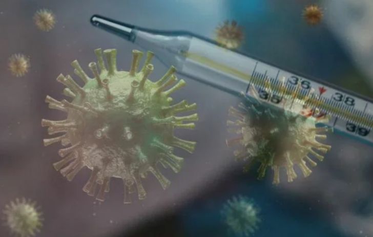 Главный иммунолог США: коронавирус пока не удалось взять под контроль
