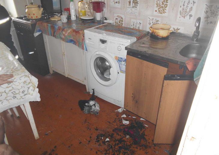 Кошмар на кухне: в Мозыре едва заживо не сгорела пенсионерка