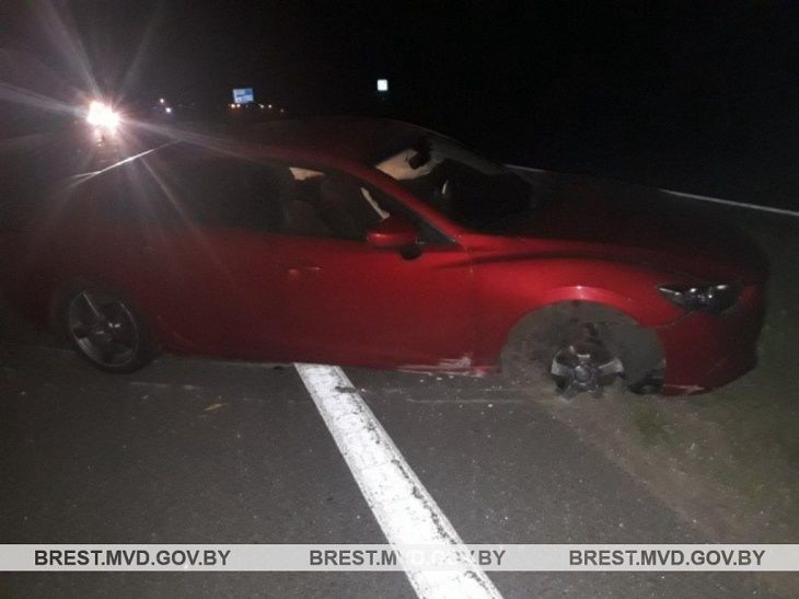 В Барановичском районе произошло двойное ДТП из-за лося