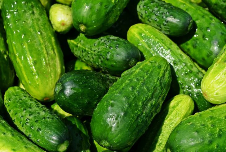 Названа категория людей, кому категорически нельзя есть огурцы Названа категория людей, кому категорически нельзя есть огурцы